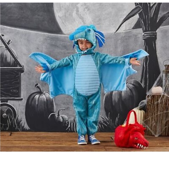 Pottery Barn Kids Costumes Pottery Barn Kids Blue Dragon Costume
